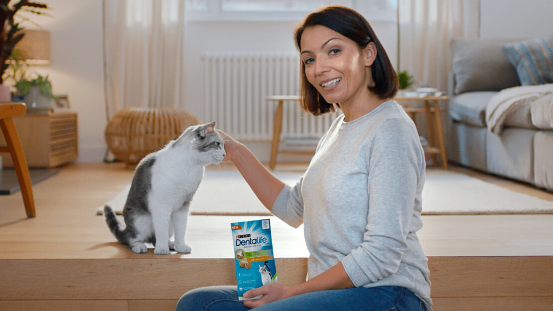 cica gazdájával ül lakásban DENTALIFE Cat