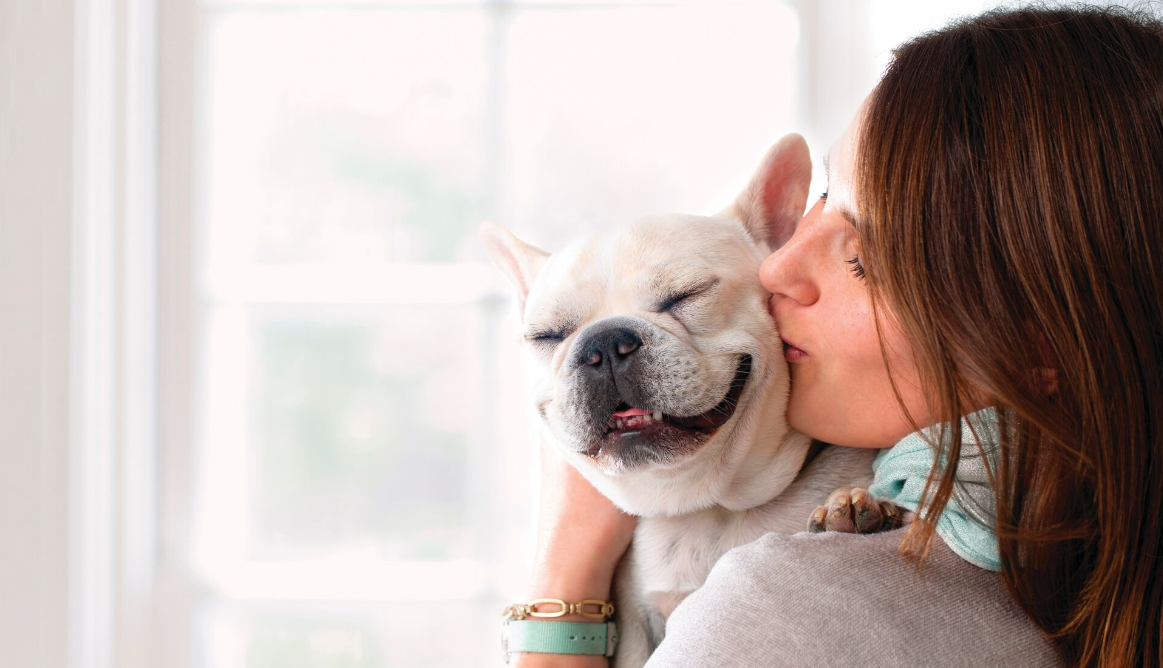 gazdi puszit ad kutyájának francia bulldog
