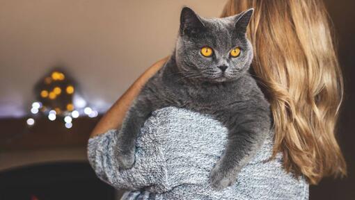 Nő karjaiban tartja brit rövidszőrű macskáját