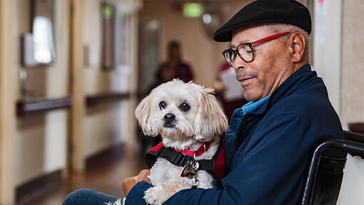 Idős férfi tolókocsiban ölében kistestű kutyájával