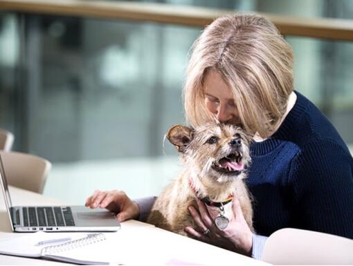 Nő és kutyája a laptopnál
