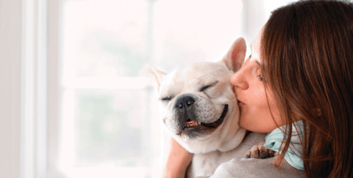 gazdi puszit ad kutyájának francia bulldog