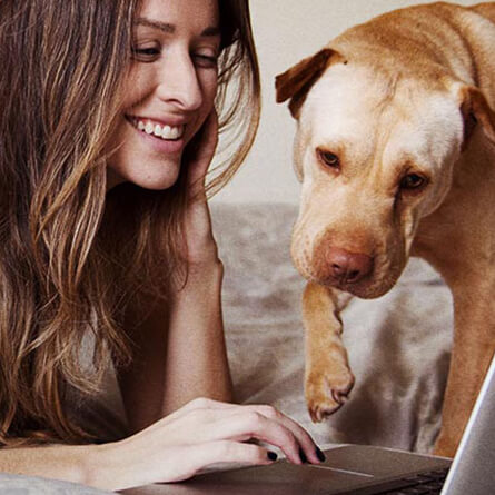 kutya és gazdája a számítógép előtt