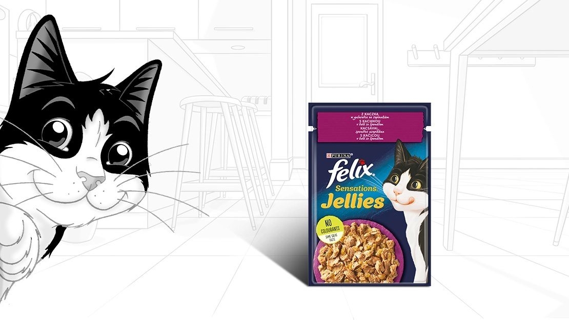 Felix cica grafika és termékfotó