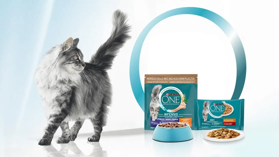 Purina ONE macskaeledelek szürke maine coon