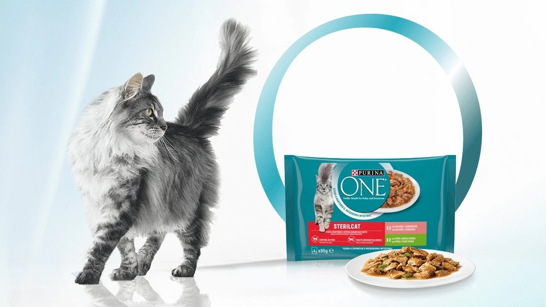 Purina ONE nedves macskaeledel termékfotó cicával