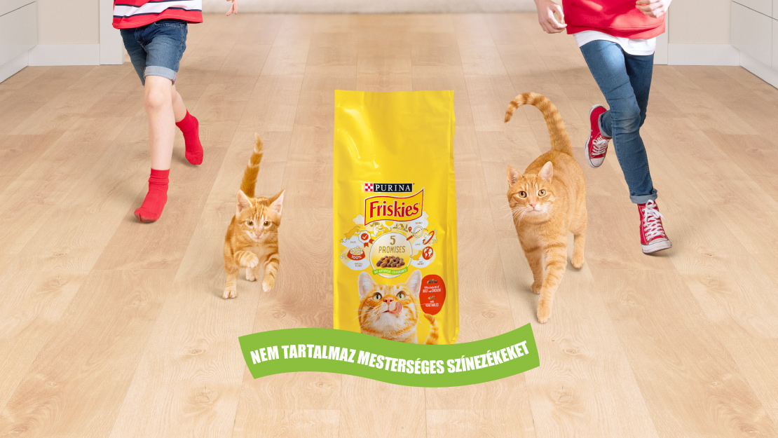 kölyök és felnőtt macska Friskies termékfotóval