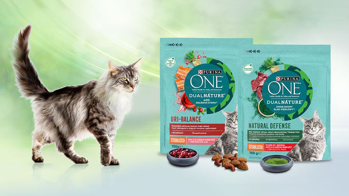 Purina ONE Dual Nature termékfotók cicával