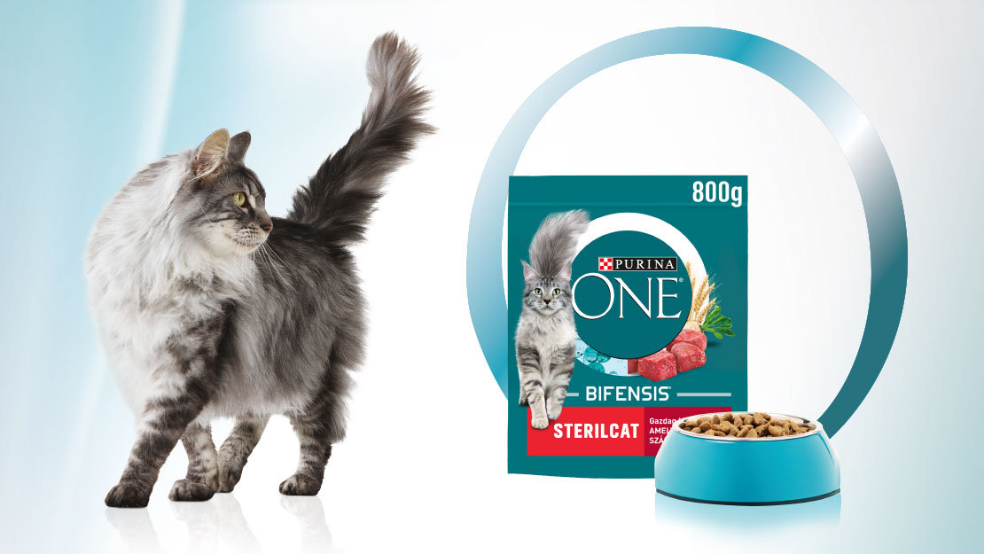 Purina ONE száraz macskaeledel termékfotó cicával