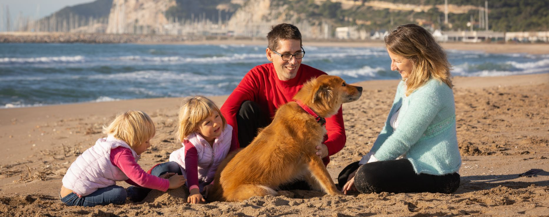 család tengerparton kutyával