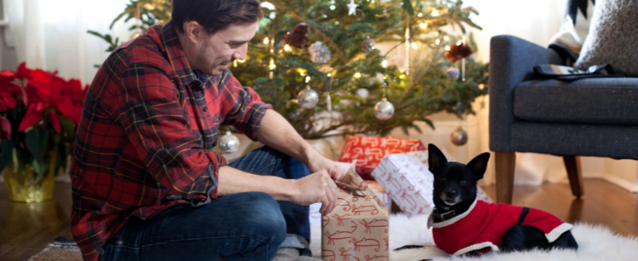 kutya gazdájával karácsonyfa előtt ajándékokkal