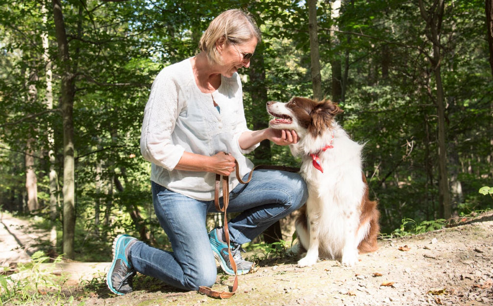 ápolt border collie idősödő gazdájával túrázik