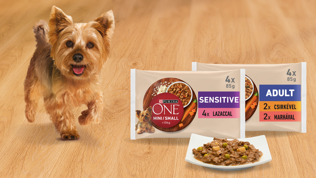 Yorkshire terrier Purina ONE nedves kutyaeledellel