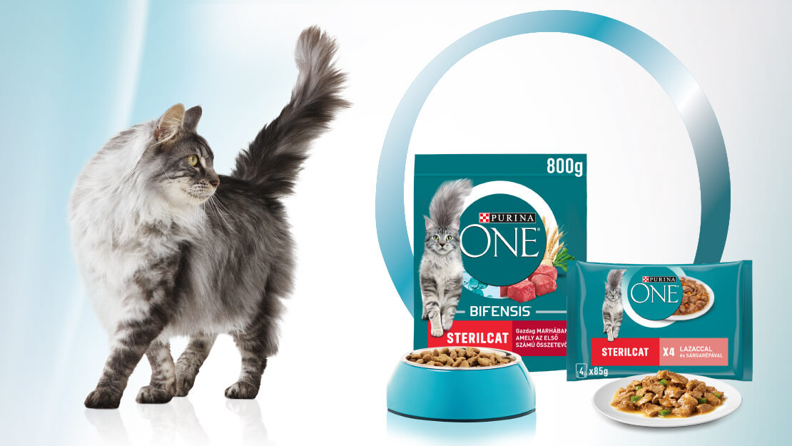 Purina ONE macskaeledelek szürke maine coon