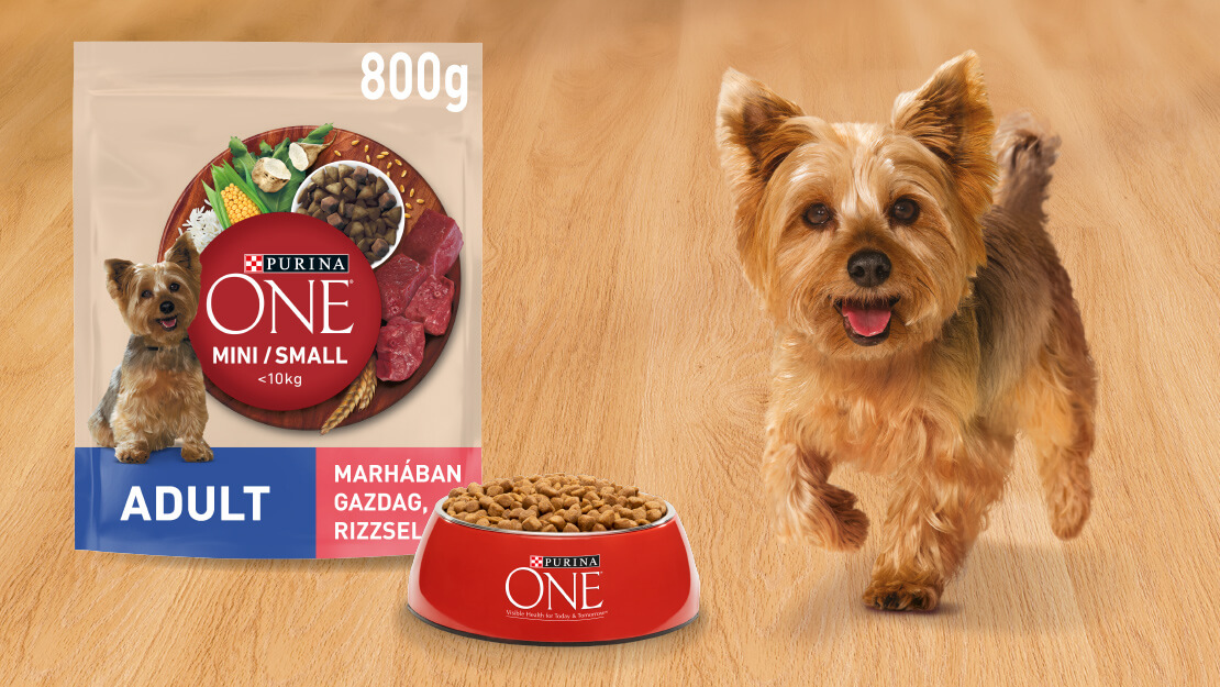 PURINA ONE száraz kutyaeledel termékfotó kutyával