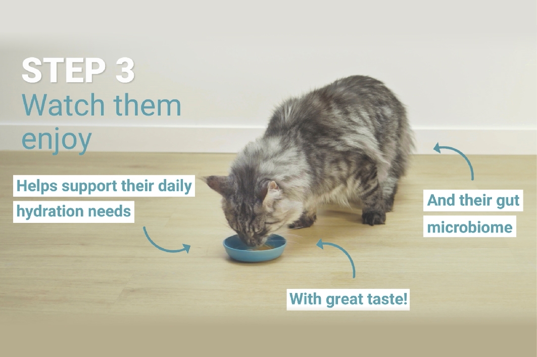 3. LÉPÉS 3. LÉPÉS