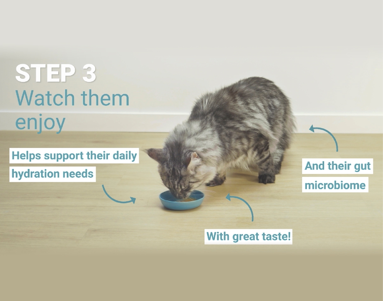 3. LÉPÉS 3. LÉPÉS