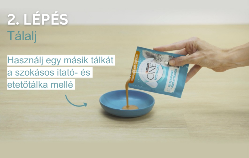 PONE 2. lépés grafika szöveggel PONE 2. lépés grafika szöveggel