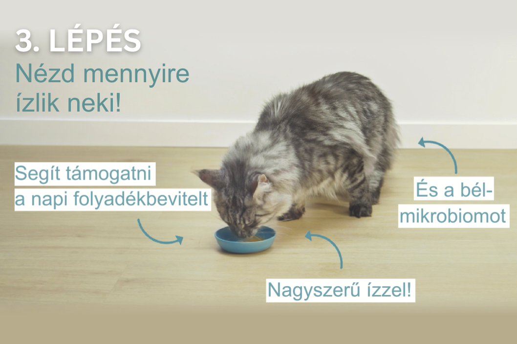 PONE 3. lépés grafika szöveggel PONE 3. lépés grafika szöveggel