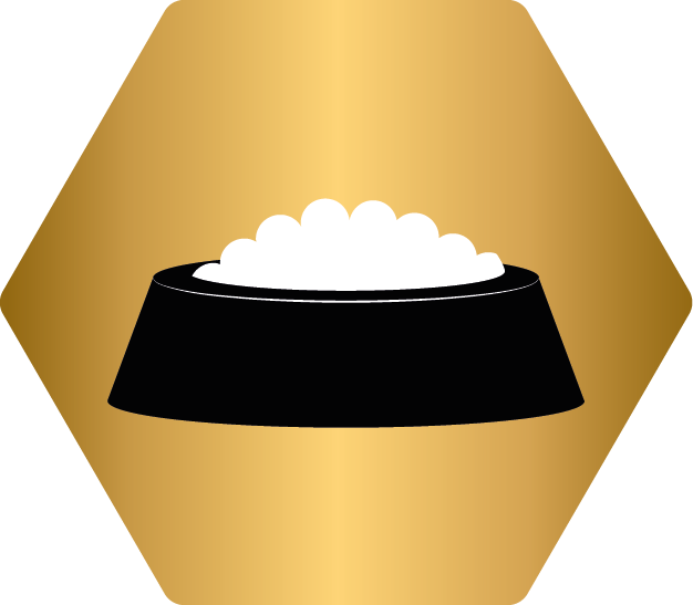 kutyaeledel tálkában ikon arany háttérrel