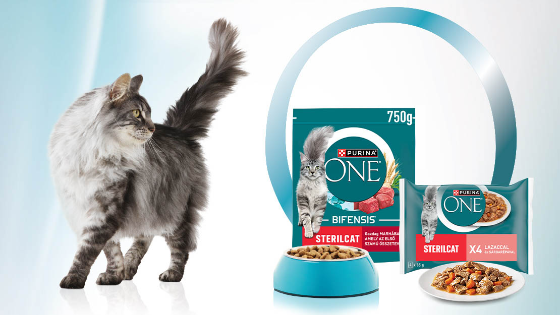 PURINA ONE macskaeledelek szürke maine coon