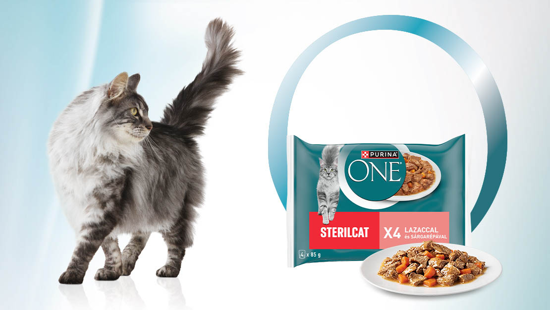 Purina ONE nedves macskaeledel termékfotó cicával