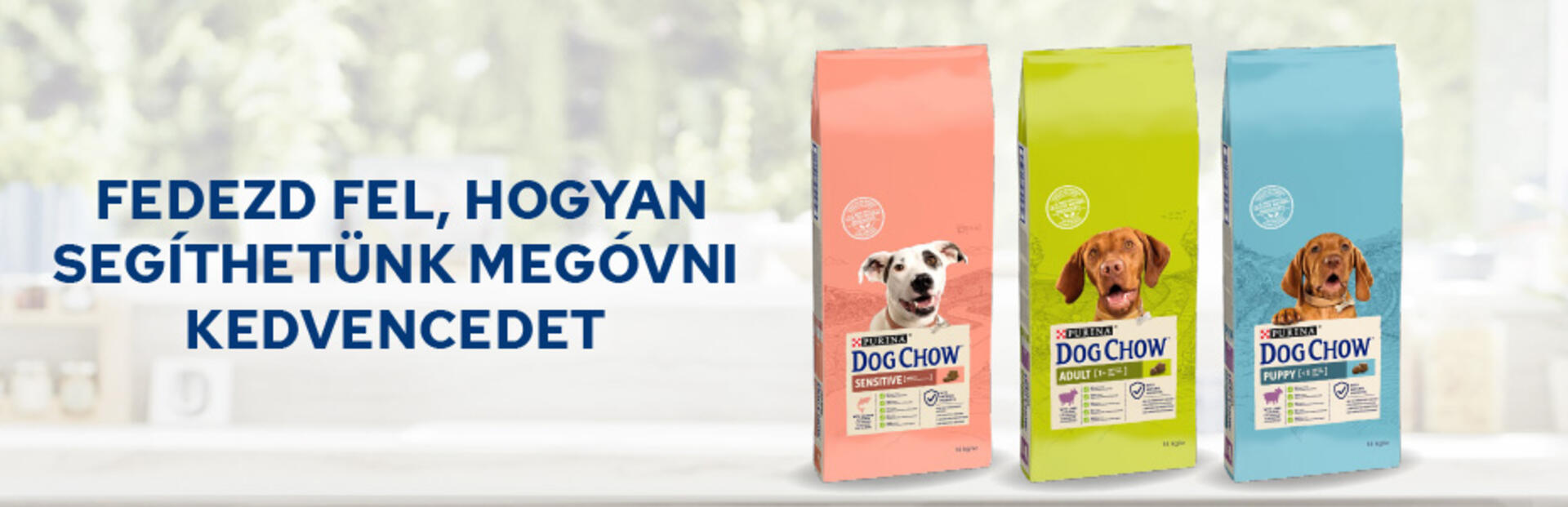Dog Chow banner termékfotóval