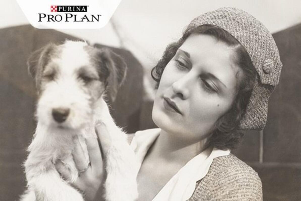 régi kép nő yorkshire terrierrel
