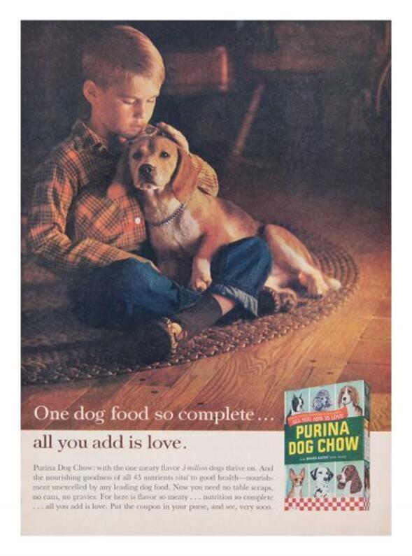 régi purina dog chow poszter