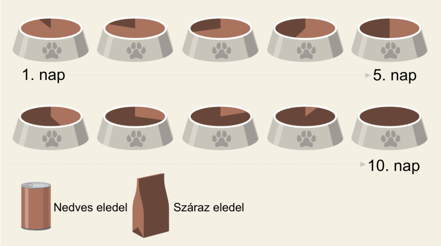 átállás másik kutyaeledelre infografika
