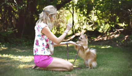 kistestű kutyát pitizni tanítanak nyáron