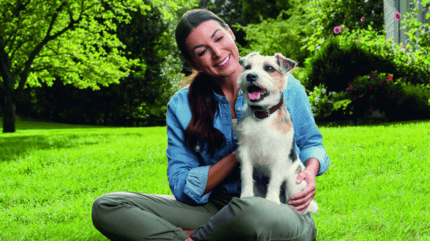 kistestű terrier gazdája ölében kertben