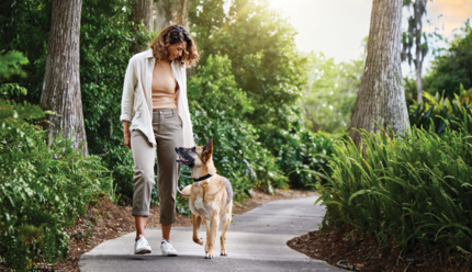 malinois és gazdája erdőben sétálnak