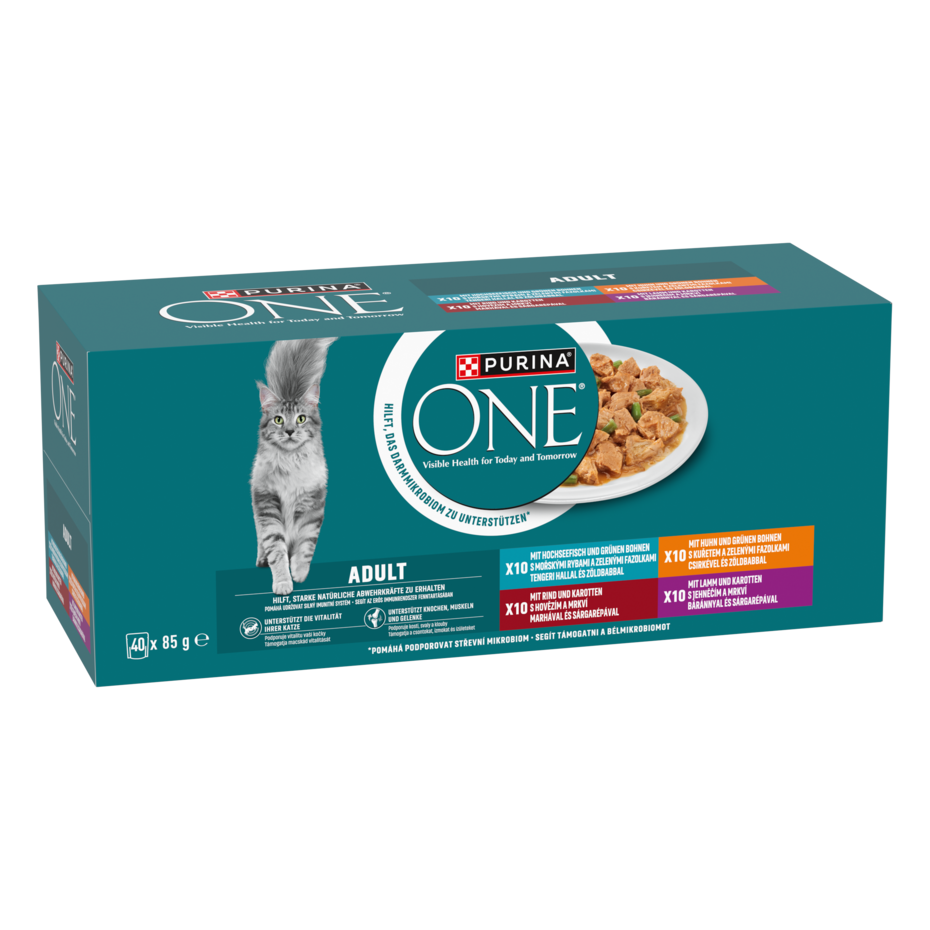 PURINA ONE Adult 4 íz megapack