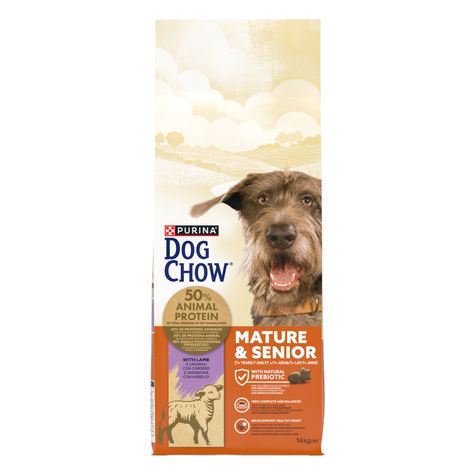 DOG CHOW száraz eledel idős kutyáknak