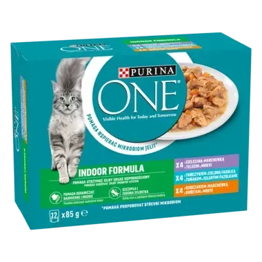 PURINA ONE Indoor Formula termékfotó