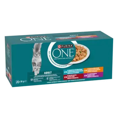 PURINA ONE Adult 4 íz megapack