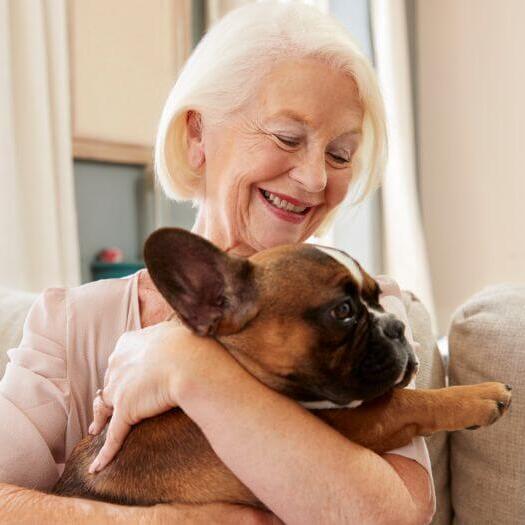 idős hölgy francia bulldog kutyájával karjaiban