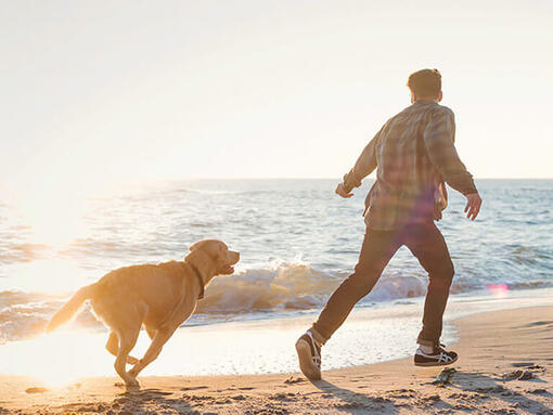 Kutya és férfi a tengerparton futnak