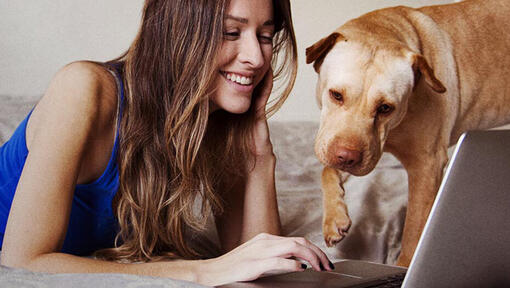 Nő és kutyája a laptopnál