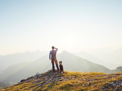 Előző 10 Purina vállalásunk