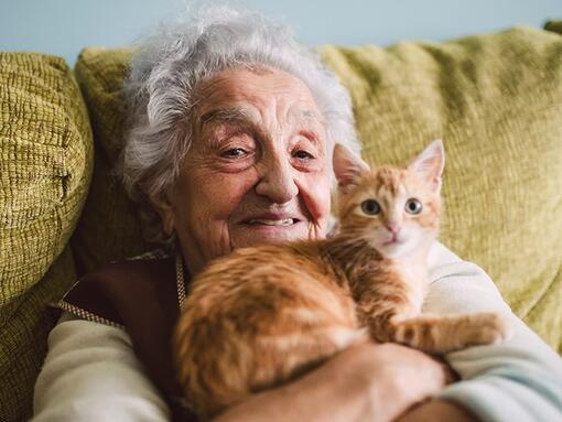Idős hölgy ölében vörös macskájával boldogan