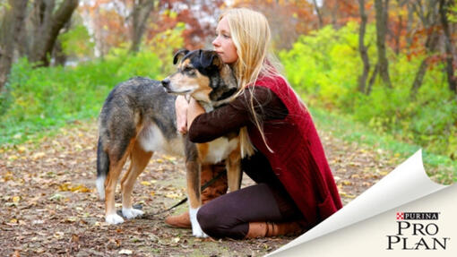 Fiatal lány átöleli kutyáját őszi úton