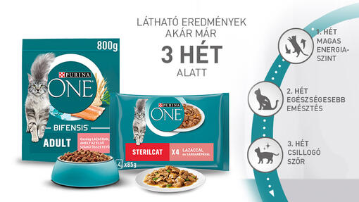 Purina ONE 3 Hetes Sikerprogram