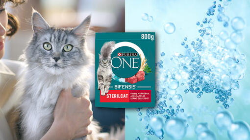 Purina ONE Bifensis formula