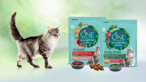Purina ONE bifensis eledelek