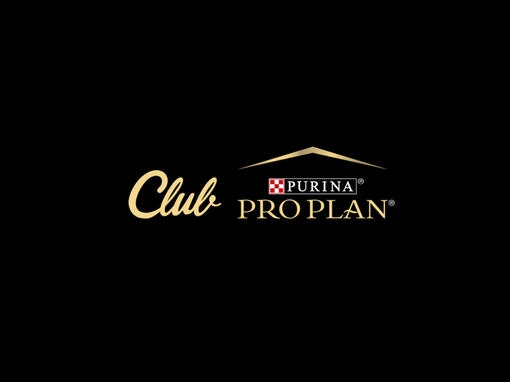 PRO PLAN Club logo hírlevél feliratkozás
