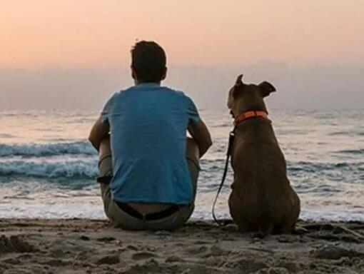 férfi és kutyája a tengerparton ülnek