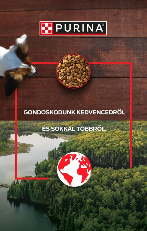 Gondoskodunk kedvencedről és sokkal többről