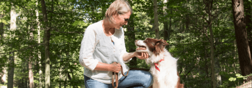 ápolt border collie idősödő gazdájával túrázik